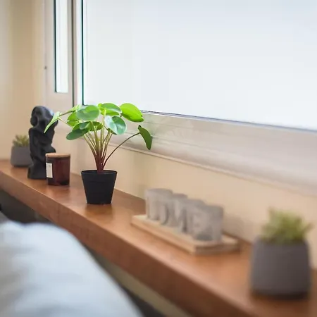 Apartment The 